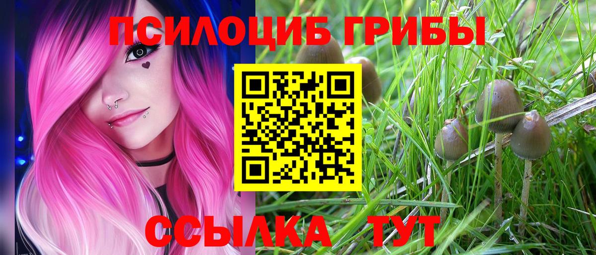 Галлюциногенные грибы GOLDEN TEACHER  Вход с VPN  Гусиноозёрск  Псилоцибиновые грибы прущие грибы 
