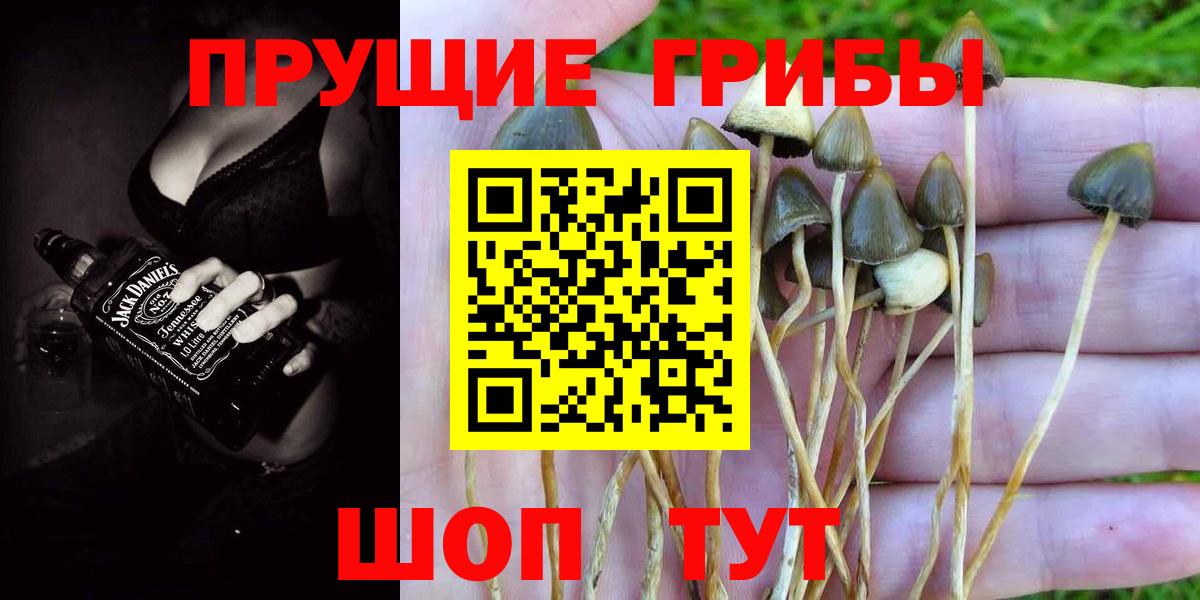 Галлюциногенные грибы GOLDEN TEACHER  Гусиноозёрск  Галлюциногенные грибы MAGIC MUSHROOMS 